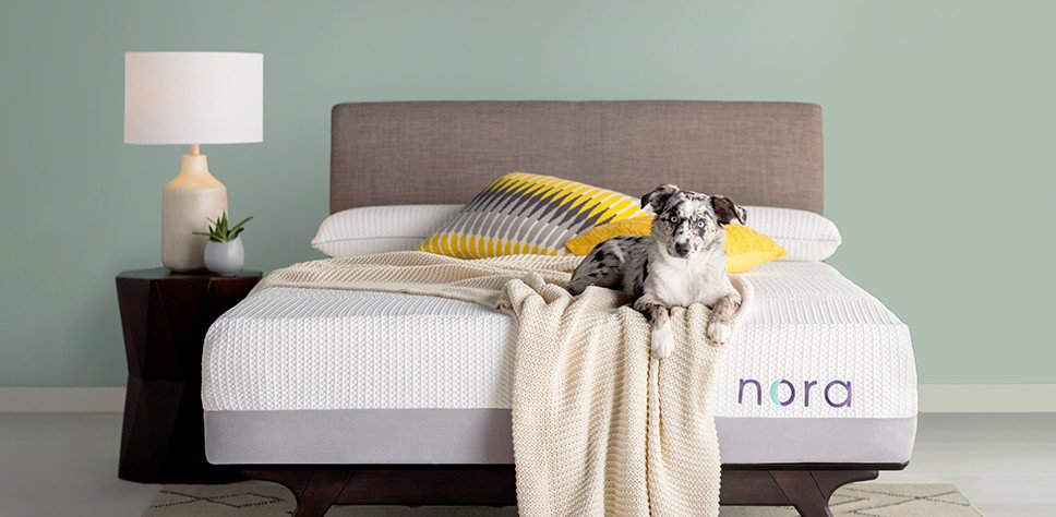 Nora Bed Review with Expert Ratings